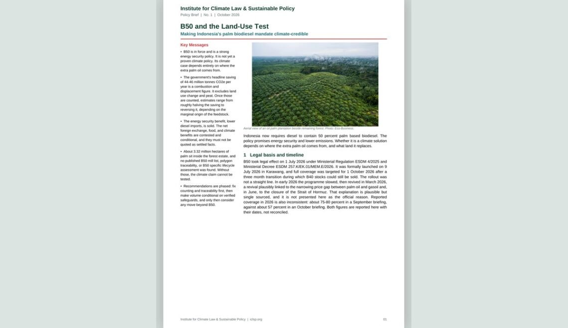 Policy Brief No. 1: B50 and the Land-Use Test cover