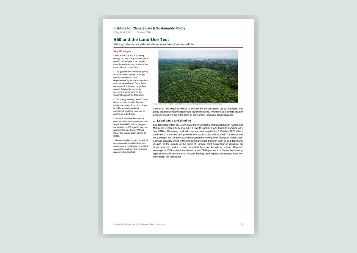 Policy Brief No. 1: B50 and the Land-Use Test cover